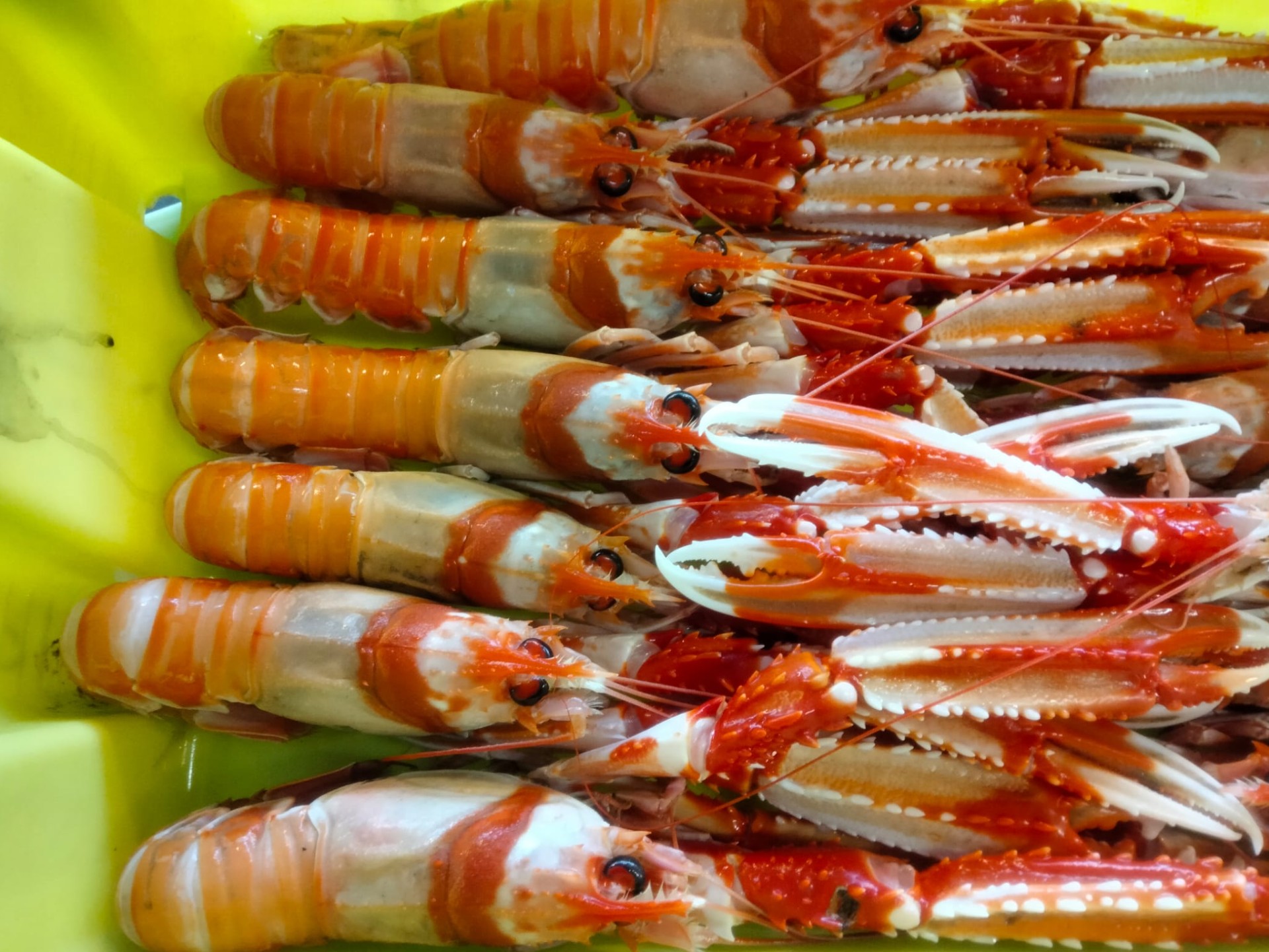 Delicias de Güela